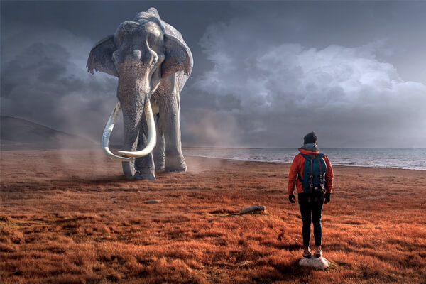 sonhar com elefante significado