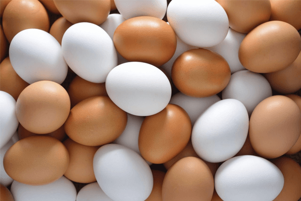 Sonhar com ovos de galinha: o que isso quer dizer?