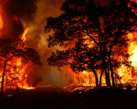Mơ thấy cháy rừng là điềm báo hên hay xui? Đánh đề số nào?