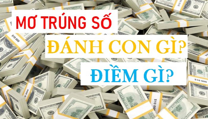 Mơ thấy trúng số đánh con gì?