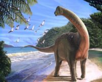 Nằm mơ thấy khủng long có ý nghĩa gì? Con số liên quan
